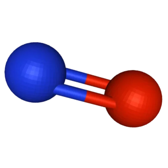 Nitric oxyde model