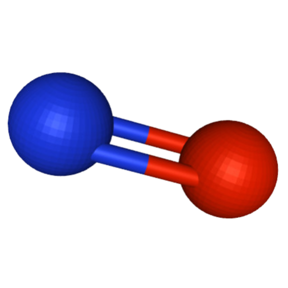 Nitric oxyde model